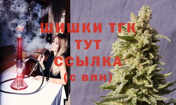 сатива Арсеньев