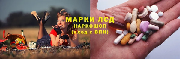 сатива Арсеньев