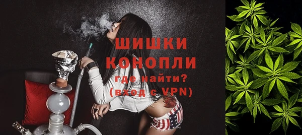 сатива Арсеньев