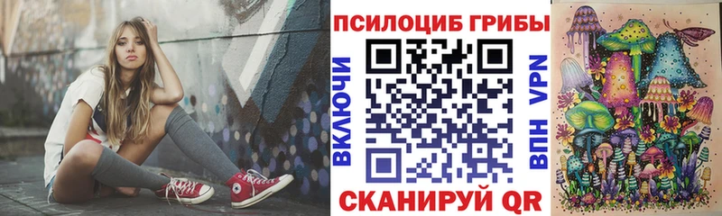 где купить наркоту  Аша  Псилоцибиновые грибы ЛСД 
