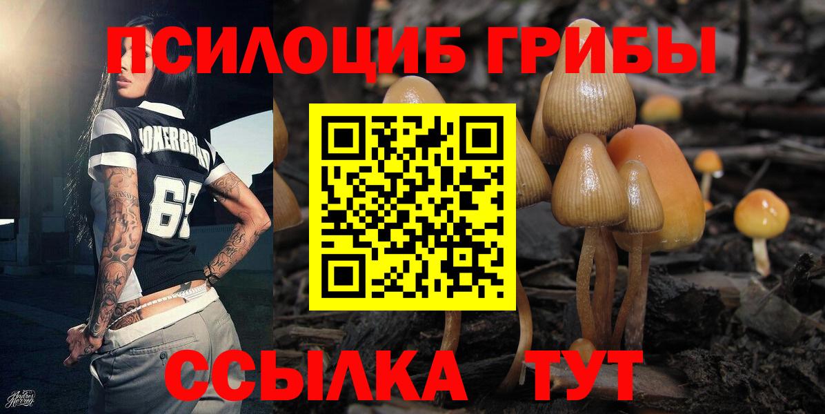 Псилоцибиновые грибы мухоморы Аша
