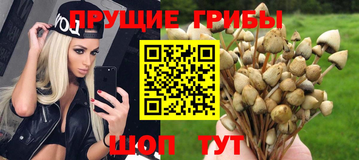 закладка  Галлюциногенные грибы Magic Shrooms  Аша  Вход с VPN  Галлюциногенные грибы GOLDEN TEACHER 
