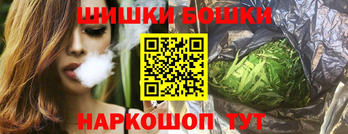 Каннабис планчик Аша